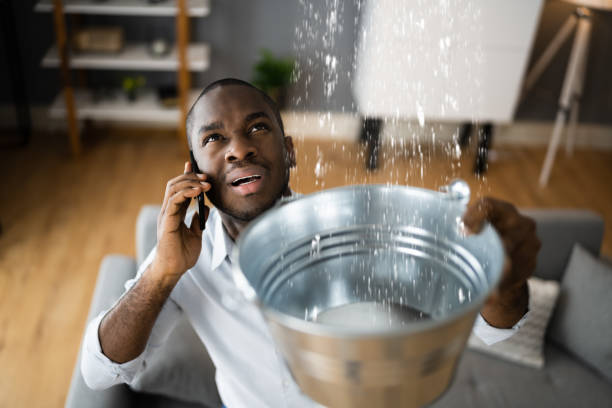 Best Water damage mitigation services  in Lavonia, GA