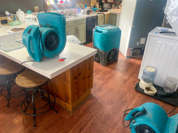 Best Water damage contractors near me  in Lavonia, GA