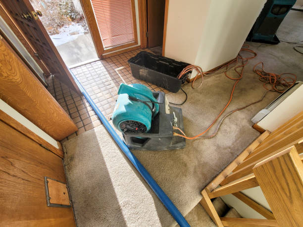 Best Water damage restoration mold remediation  in Lavonia, GA