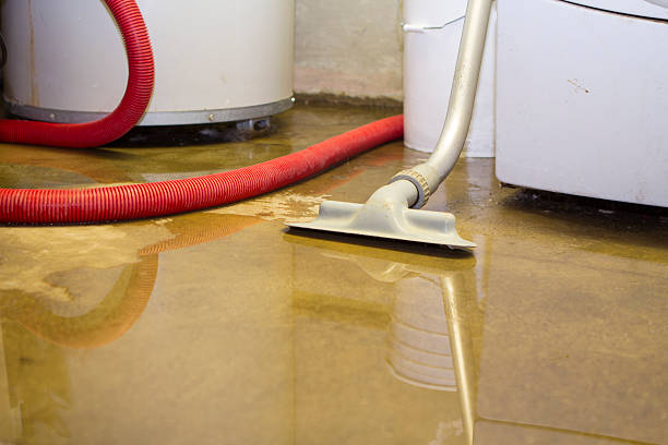 Best Carpet water damage restoration  in Lavonia, GA