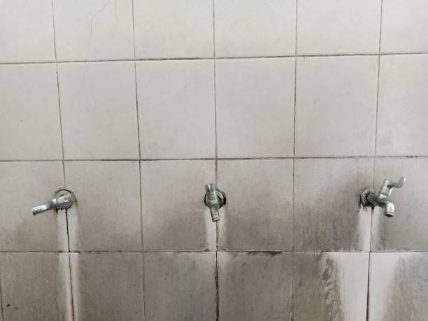 Best Water damage contractors near me  in Lavonia, GA