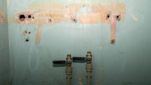 Best 24/7 water damage repair  in Lavonia, GA