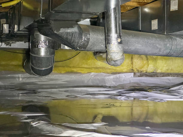 Best 24-hour water damage restoration  in Lavonia, GA