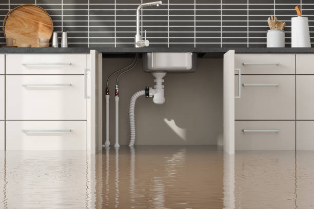  Lavonia, GA Water damage restoration Pros