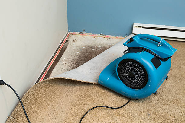 Best Fire Damage Restoration  in Lavonia, GA